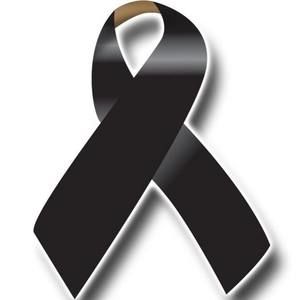 Meet your Posher, Delmy